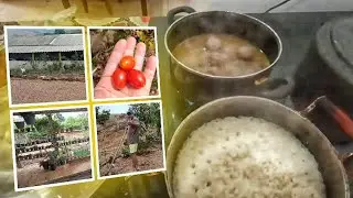 Mostrando tudo por aqui+almoço!!