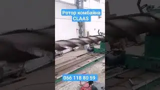 21 июня 2023 г.