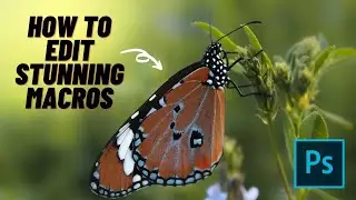 Edit Macro Photos in Photoshop | Soft Color tones & Fix Camera Shake | Macro & Insect Photography