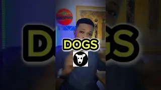 $DOGS et BITGET