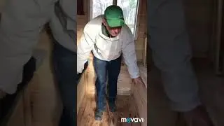 польза апидомика