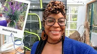 GROWING Medically| Uses | Preservation + Raised Container Garden Tour
