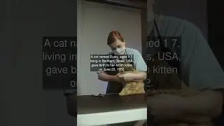 A cat named Dusty, aged 1 7, living in Bonham, Texas, USA, gave birth to her 420th...