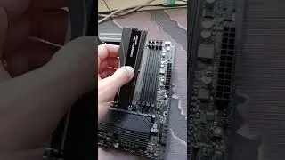 ЛайвХак Куда класть DDR5