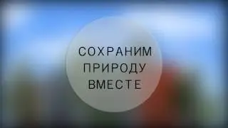 В ПОДДЕРЖКУ ГОДА ЭКОЛОГИИ / 