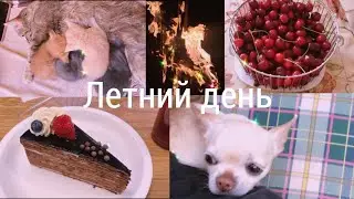 Дачный летний день 2022