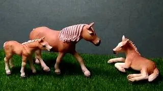 Новости. Куда я пропала?! Что будет с каналом?!