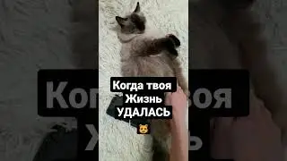 Жизнь удалась)