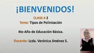 Cuarto Ciencias Naturales Tema: Tipos de Polinización
