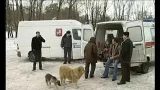 Возвращение Турецкого, 24 серия, финал