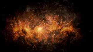 Motion design. Text.