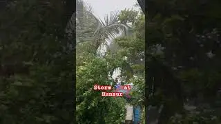 Storm ☔️ 