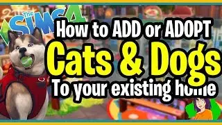 Sims 4 Pets ADD and ADOPT pets to your household by Shillianth the chick with the aussie acc