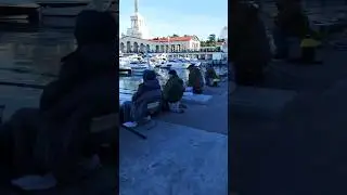Нашествие рыбаков в яхт-клубе Сочи на новый год🎅