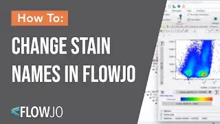 Change Stain Name in FlowJo