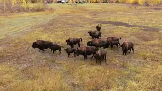 Якутия. сентябрь 2021