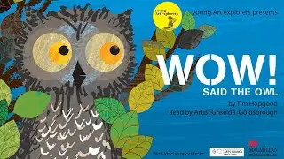 Wow! Said the Owl by Tim Hopgood