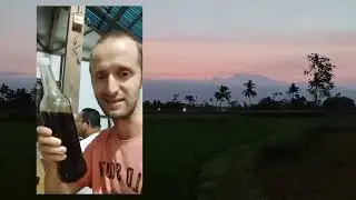 Пчеловодство Индонезии  Первое путешествие dobrosot