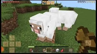 Crafting and building survival​ day 2