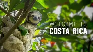 This Is Why You Have To Go To Costa Rica - 4K