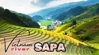 Why Sapa Vietnam Rice Terraces Are the Most Stunning in the World