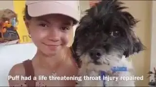 Saving Lives the Romania Animal Rescue Way
