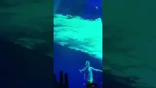 Robbie Williams Mad cool 2023 Madrid