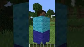 MINECRAFT WITZE 
