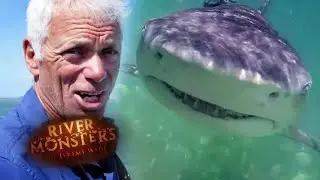 Jeremy Battles A Lemon Shark! | SHARK | River Monsters
