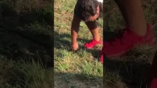 Так ламаються вудлища❗️