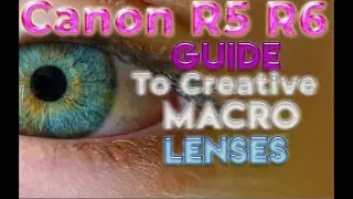 Creative Macro lenses for Canon R5 R6 (Canon Lenses Macro Photography)