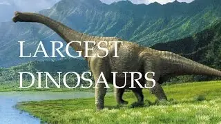 Top 5 Biggest Dinosaurs