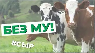 🧀 Сыр От Астрофизика!  Причём тут ИИ?