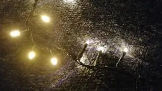 Premier LED FireBrights Christmas lights