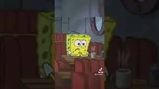 #губкабоб