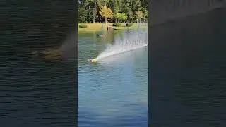 Smoking Fast Shrimp