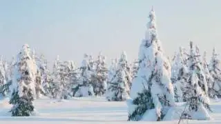 Laleh - Snö /with lyrics)