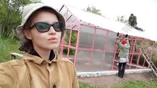 Теплица 2018