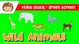 Cartoon - Wild Animals- Green Chroma Screen - Free to Use - No Copyright