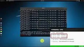 004 Горячие клавиши в терминале Kali Linux