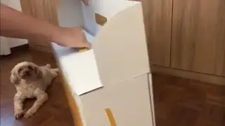 Unboxing My Yellow iMac M3 (2023)
