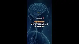 Optimize: More Than Just a Buzzword