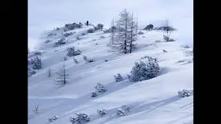Let it snow-accordion cover
