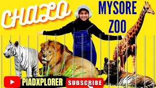 NEW!! Wild Animals at Mysore Zoo , White Tiger, White Peacock, Giraffe Don't Miss!!. PiaDXplorer
