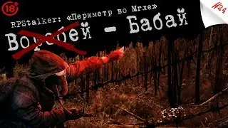 RPStalker: «Периметр во Мгле» | Горе Бандиты! (ч.24) [+18]