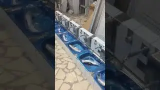 sensörlü batarya paslanmaz evye uygulaması