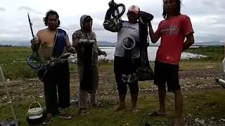SPOT SEKAR GUMIWANG | WGM