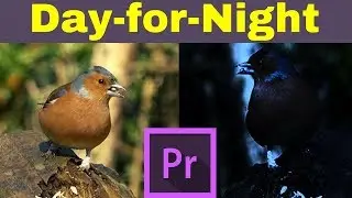 How to Create Realistic Day for Night Effect in Adobe Premiere Pro CC 2017