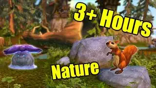 3+ Hours of World of Warcraft Nature Facts to Fall Asleep to | World of Warcraft