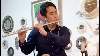 방탄소년단 (BTS) - 봄날 (Spring Day) Flute Cover